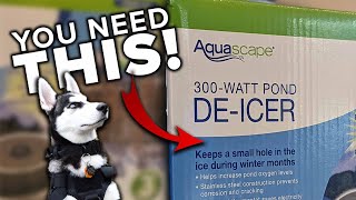 3 Things You MUST Have For Your Pond This Winter