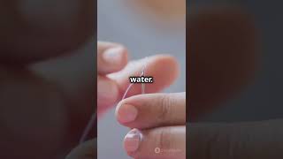 "🧭 DIY Compass Experiment! ✨ Learn How to Find Your Way!" #sciencefun  #science #facts