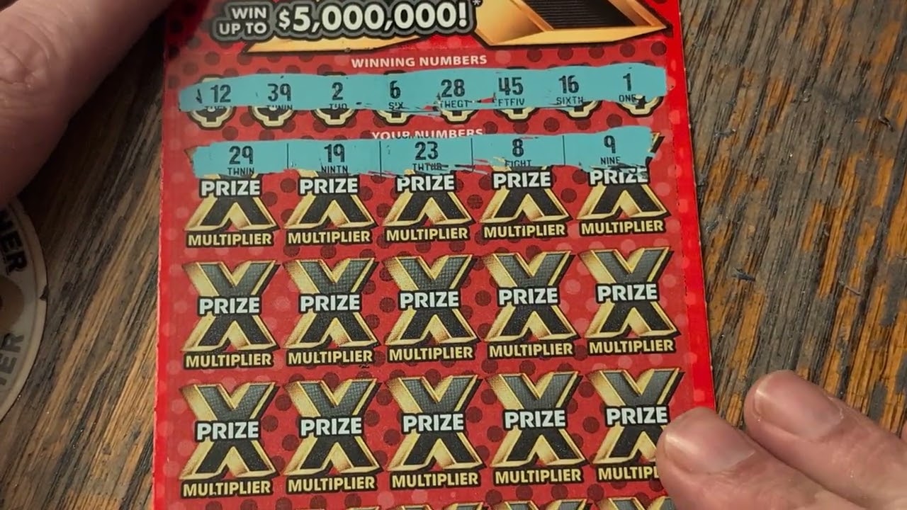 Wins found on 100X and Show me 5mil for a dig session😊🐱🐱🎣