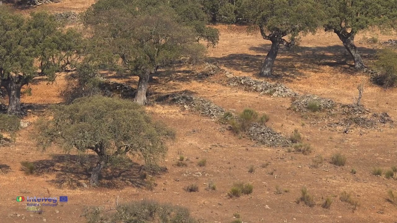 CASTRO DE LERILLA EN ZAMARRA, SALAMANCA