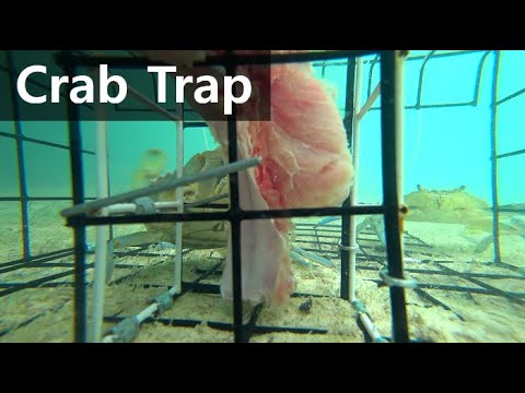 Underwater Crab Trap / Crab <strong>Net</strong>