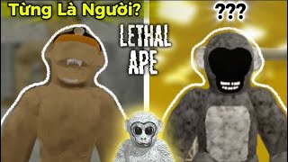 Phân Tích Toàn Bộ Quái Thú trong | Lethal Ape screenshot 4