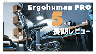 【長期レビュー】エルゴヒューマンプロを“5年”使ってわかった良い点悪い点