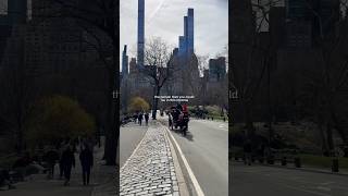 NY City #dailyreminder remainder #travelmore #nycity #traveltonewyork #travelvlog #traveladdict NY City #dailyreminder remainder #travelmore #nycity #traveltonewyork #travelvlog #traveladdict
