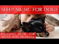 Relaxing Sleep Music for Dogs and Humans [With Ocean Sounds]