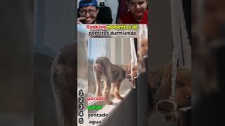 Ranking momentos de perritos durmiendo #funnymoment #humor #top