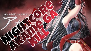 Nightcore - Skyreach | Sora Amamiya [Akame ga Kill - Opening 1]