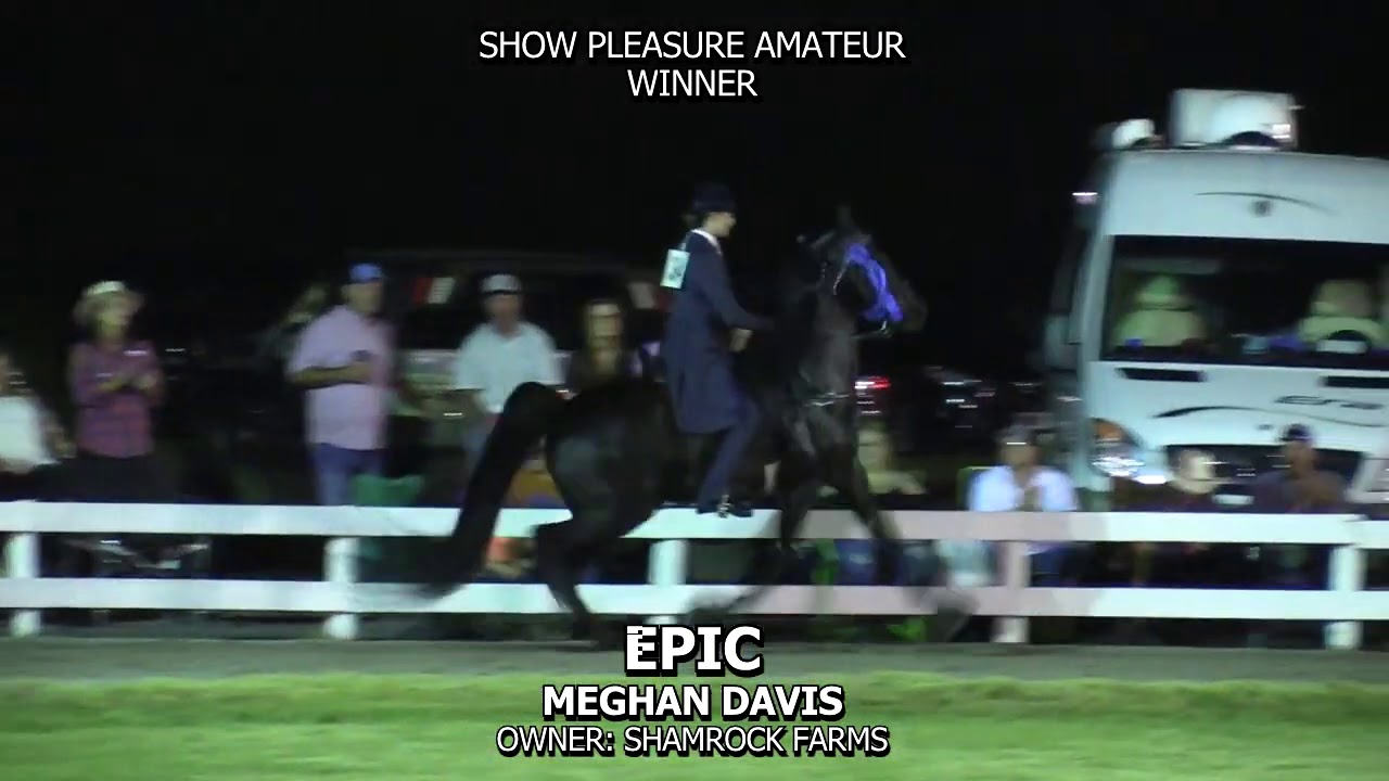 EPIC 2020 FAYETTEVILLE BLUE RIBBON HORSE SHOW YouTube
