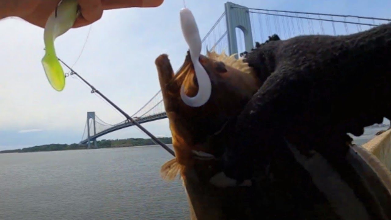 All Day Flounder Fishing & Trying New spots🎣💥 brooklyn fishing flounder blitz YouTube