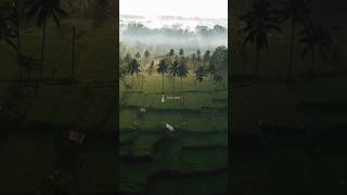 Beautiful Nature Pgeditz