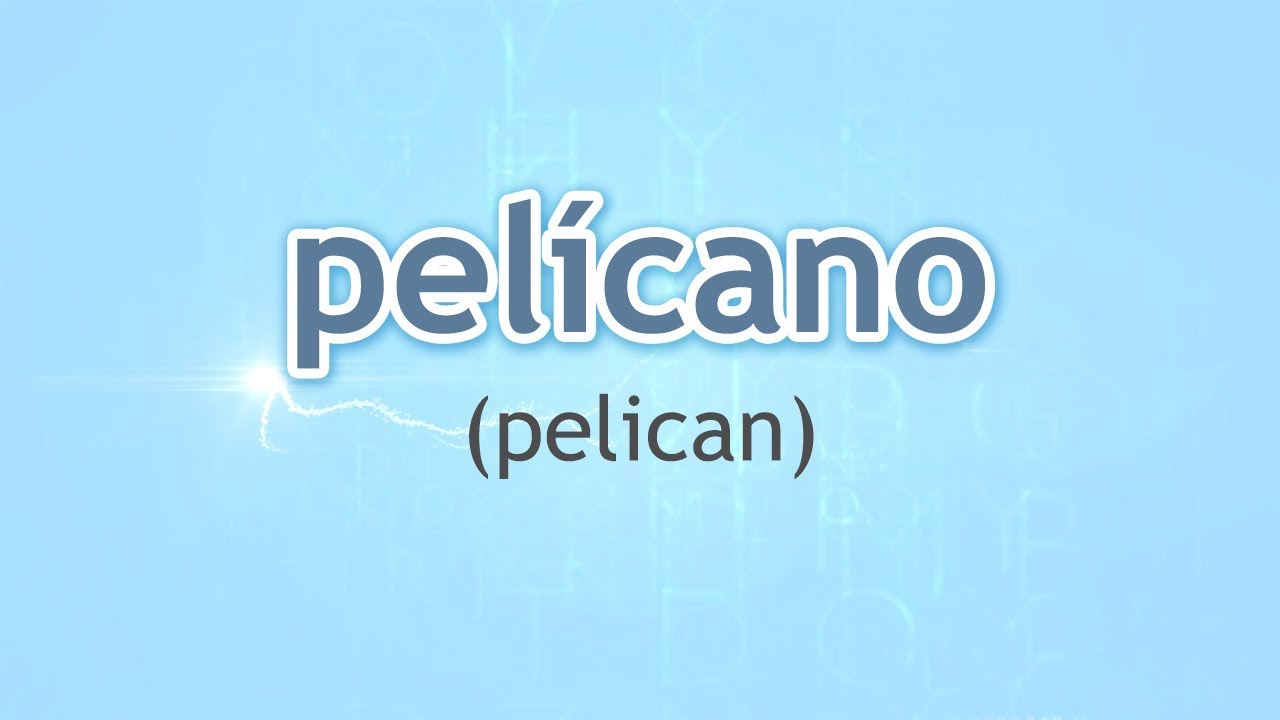How to Pronounce Pelican (Pelícano) in Spanish - YouTube