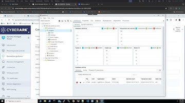 Securing Database Access: DPA Vaulted Account Approach with Native PGadmin Utility