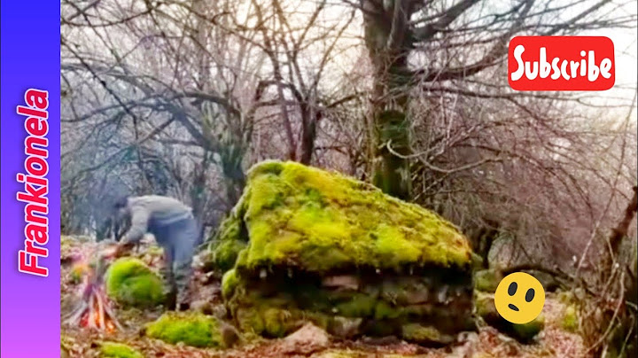 Experto en Supervivencia Construye 2 REFUGIOS INCREÍBLES en el Bosque | Tutorial Paso a Paso