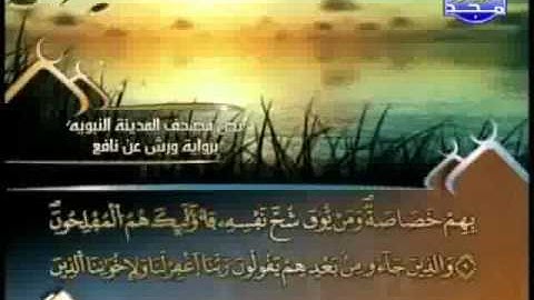 العيون الكوشي - سورة الحشر