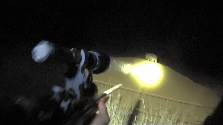 Lights...Camera...Action! Lockdown classic night pig/hog hunt!