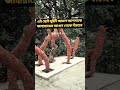 জাহান্নামের আগুন থেকে মুক্তি পাওয়ার আমল