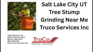 Salt Lake City UT Tree Stump Grinding Near Me Truco Services Inc