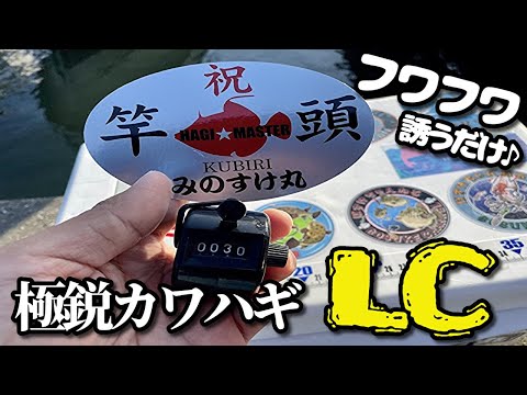 金魚番長単独ライブ　値千金　ステッカーセット グッズ販売】6/8(土)18時開演「金魚番長単独ライブ「値千金