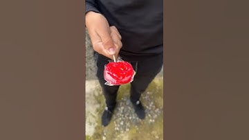 DUMB THINGS WE ALL DO🤣#shorts #viral