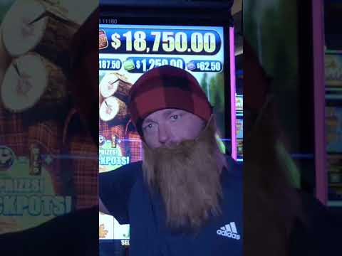 Timber Jacking Me Off Towards a Jackpot