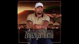 Zinjaziyamluma - Ziyanidinga Intombi