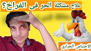 خطر الاجهاد الحرارى فى مزارع الدجاج (الإجهاد الحرارى)