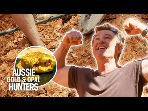 Video: De syv mest berømte Gold Diggers