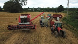 COMBINING, MILLING, BALING AND TURNING ALL HAPPENING AT ONCE -- HARVEST 2020 SPRING WHEAT FOR CRIMP