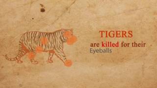 Save Tiger Motion Graphics by I'art Visuel