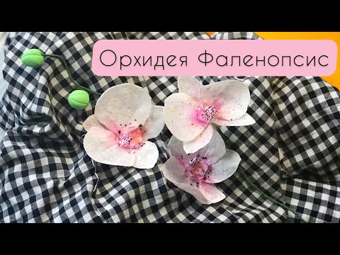 Как сделать орхидею