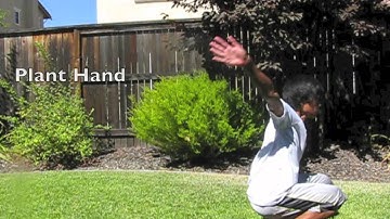 Monkey Flip Tutorial