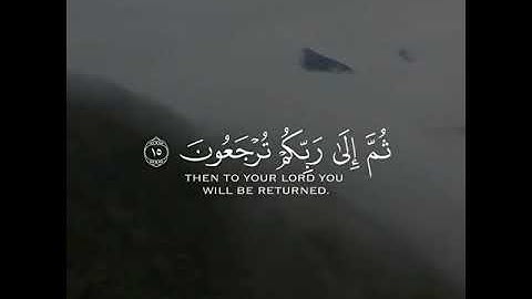 سورة الجاثية قارئ ياسر الدوسري