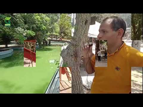 مناظر طبيعية خلابة ومعالم تاريخية جميلة في حديقة الأسماك