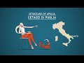 9 - Cetacei di Puglia