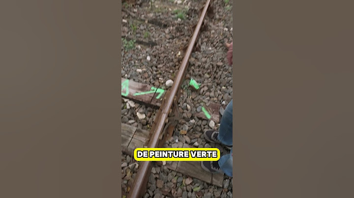 Quand la SNCF met en danger ses passagers #shorts