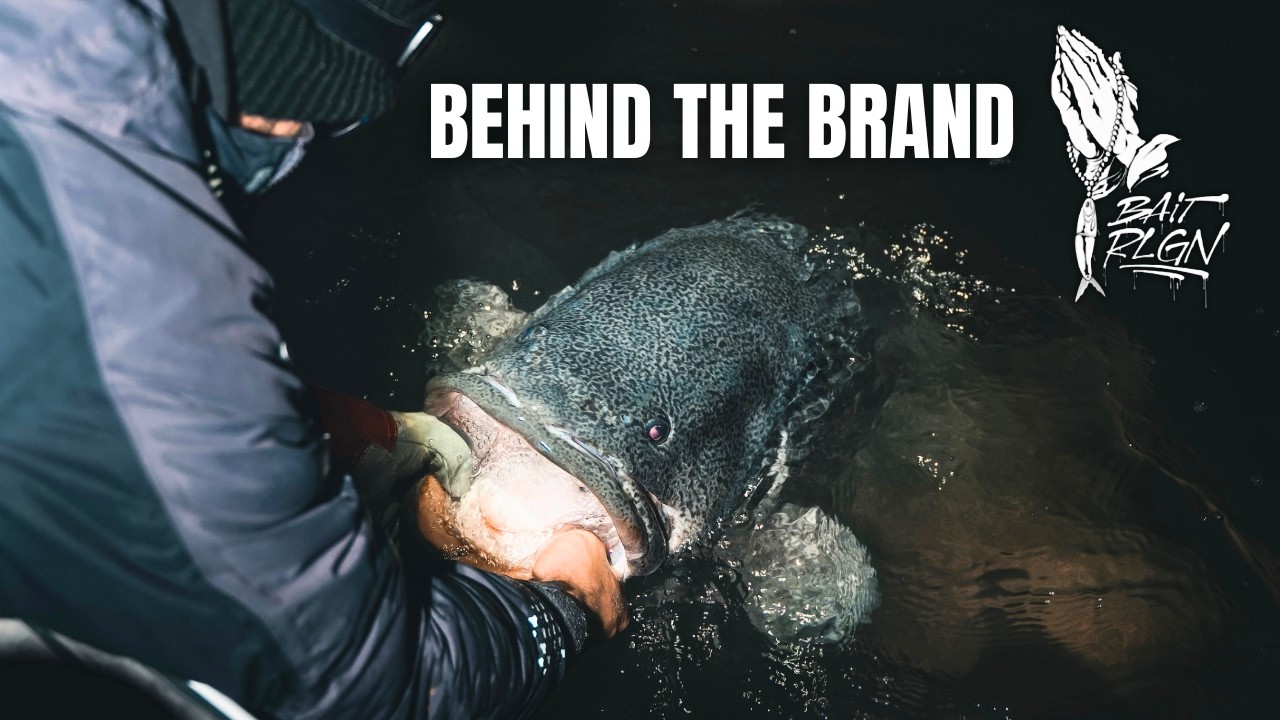 Behind Australia's Largest Swimbait Retailer | BAIT RLGN