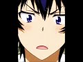 Nisekoi UwU Moments Nisekoi UwU Moments