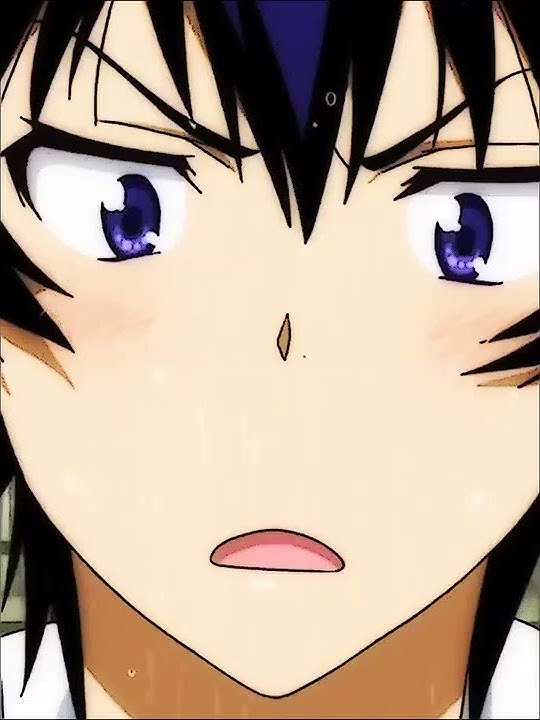 Nisekoi UwU Moments