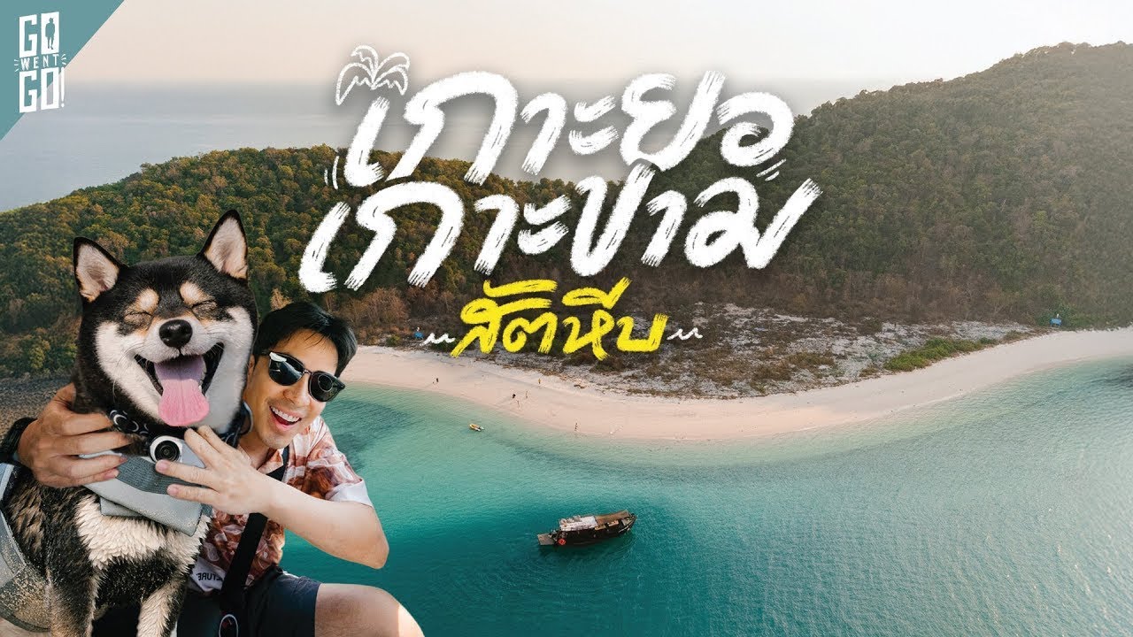 พาน้องหมาเที่ยวทะเล! 1วันที่ทะเลสัตหีบ เกาะขาม เกาะยอ บนเรือส่วนตัวที่เป็น Pet Friendly | VLOG