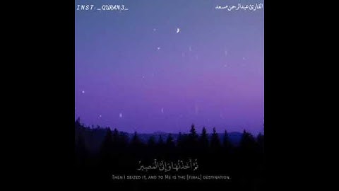 قرآن كريم بصوت القارئ: عبدالرحمن مسعد || أجمل حالات واتس اب دينيه || تلاوة خاشعة HD🍀🍃