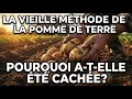 La Méthode de la Pomme de Terre Qui a Été Supprimée des Livres — 3 Fois Plus de Récolte Sans Bêcher