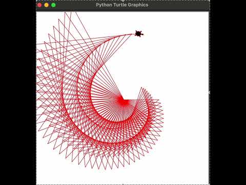 Star Spiral Turtle