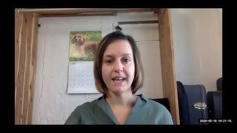 Tutorial Video Beatles Assignment 3rd 4th Grade 5:18 5:22:2020