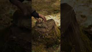 Sk Wild Ones Jagdmesser Messer Outdoor - Survival-Messer, Outdoor Messer Feststehend Mix2