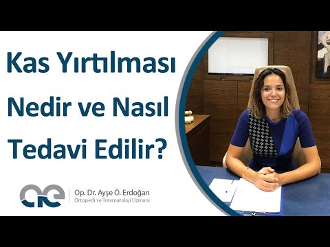 Kas Yırtılması Nedir ve Nasıl Tedavi Edilir? | Op. Dr. Ayşe Ö. Erdoğan