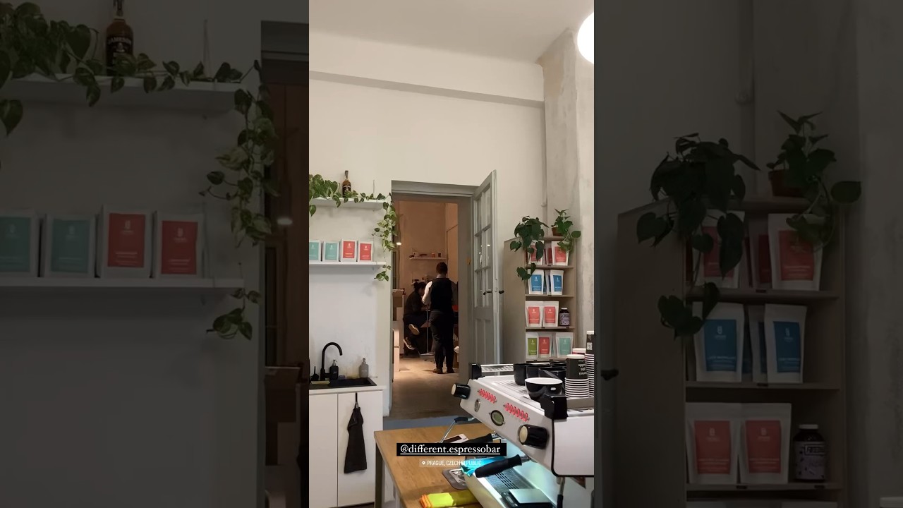 Our vinyl selection in a cafe in Prague 