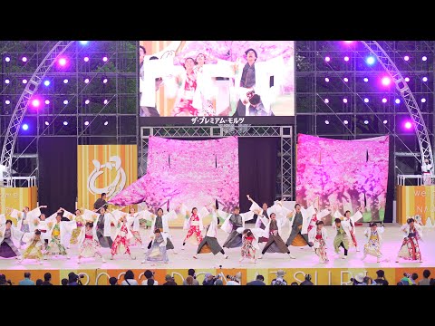 [4K] ひなた  にっぽんど真ん中祭り どまつり 2022  前夜祭