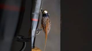 October Rabbit Caddis Pupa: Fall Caddisfly Pattern  #flytying #trout #troutfishing #flyfishing #fish