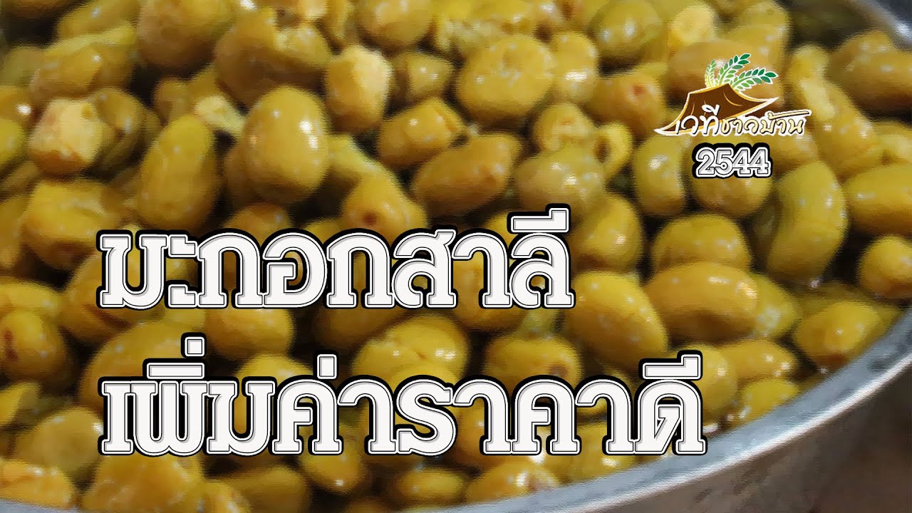 มะกอกสาลี เพิ่มค่าราคาดี