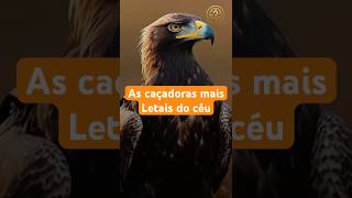 🦅 As 3 Aves Mais Ninjas do Mundo! 😳💨 |  #curiosidades #explicaai #shortsbrasil